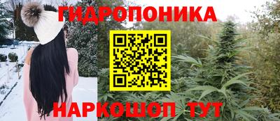 гидропоника Кулебаки