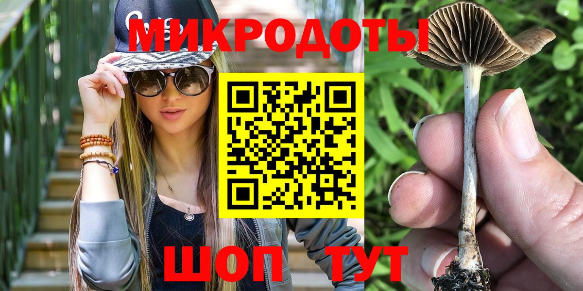 Псилоцибиновые грибы Psilocybe  Вход с VPN  Избербаш 